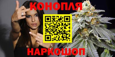 ГАЛЛЮЦИНОГЕННЫЕ ГРИБЫ Гусиноозёрск