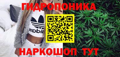 стаф Гусь-Хрустальный
